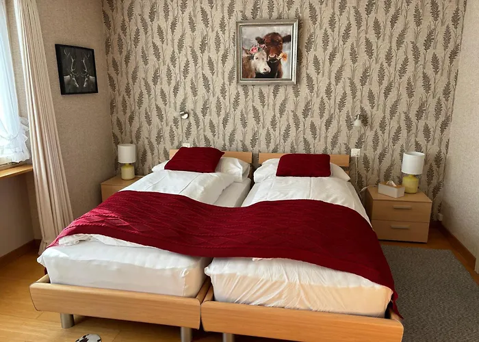 Hotel Alpina Ringgenberg